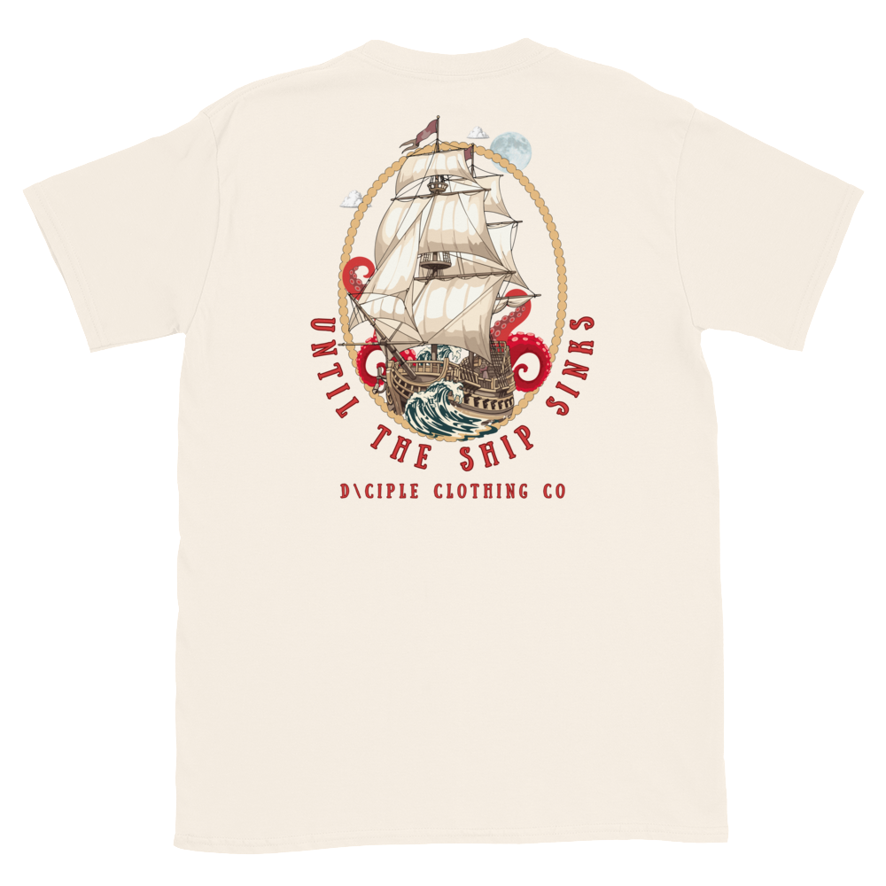 files/unisex-basic-softstyle-t-shirt-natural-back-699e1cfec9f21.png