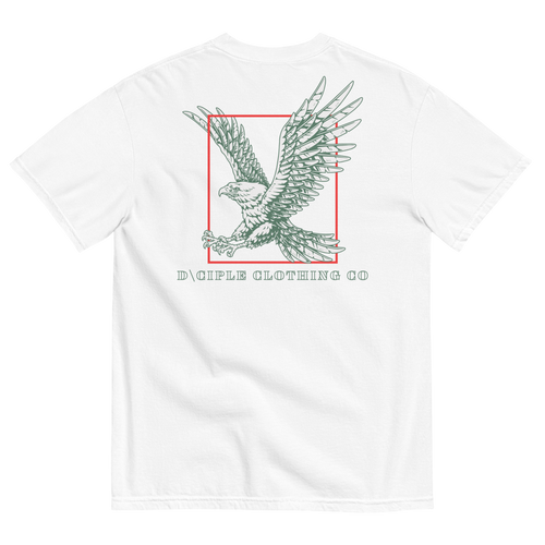 Eagle graphic T-Shirt with vintage bird illustration and red frame design by D\CIPLE Clothing Co on a natural shirt